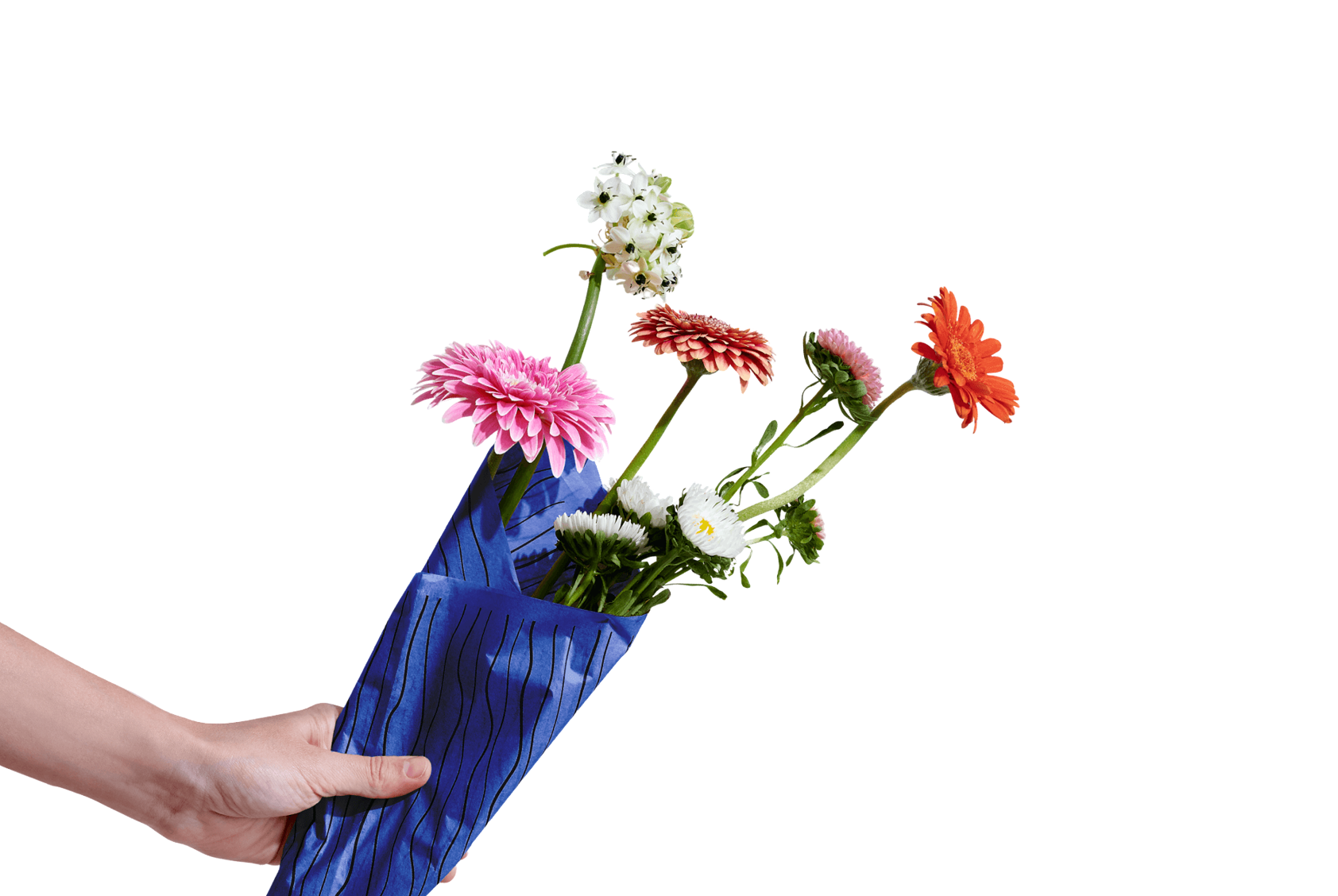 Risparmia fino al 20% con Packhelp Wallet